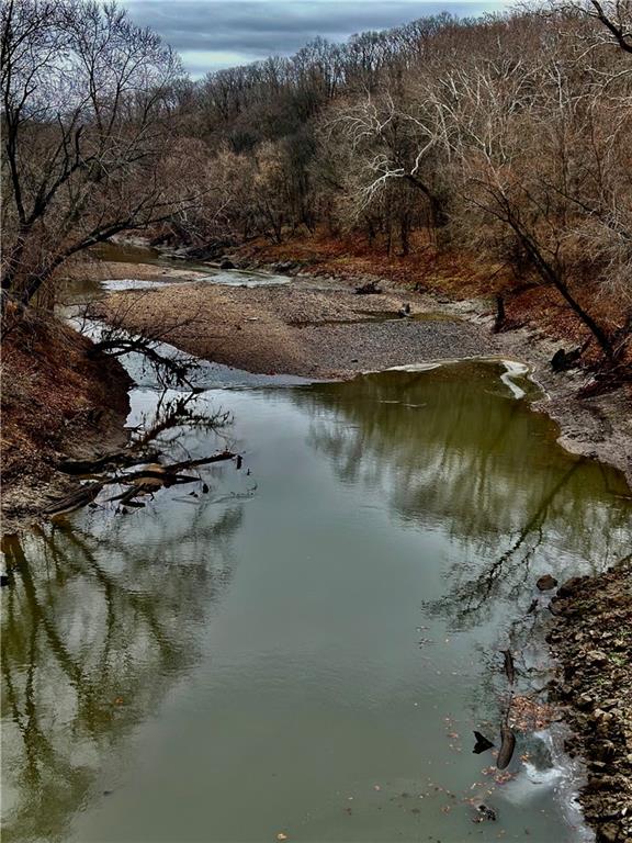 Listing Photo MLS #HMS2592037