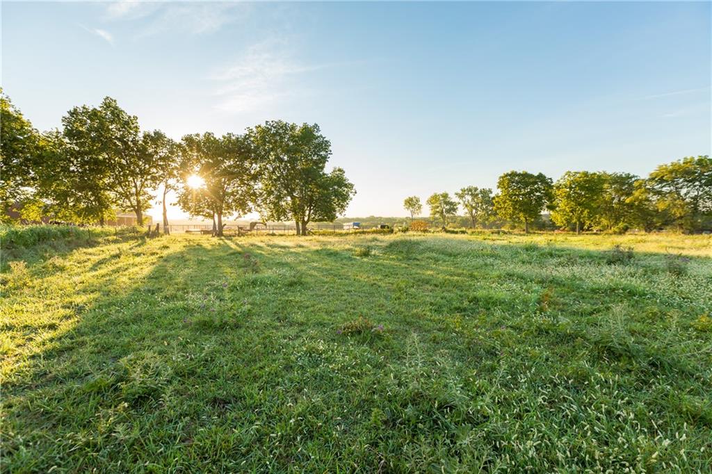 Listing Photo MLS #HMS2595352