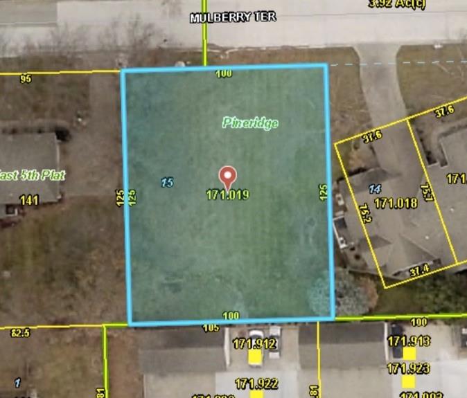 Listing Photo MLS #HMS2595547