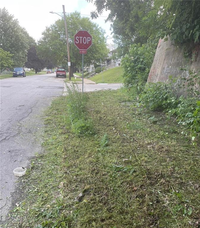 Listing Photo MLS #HMS2596307