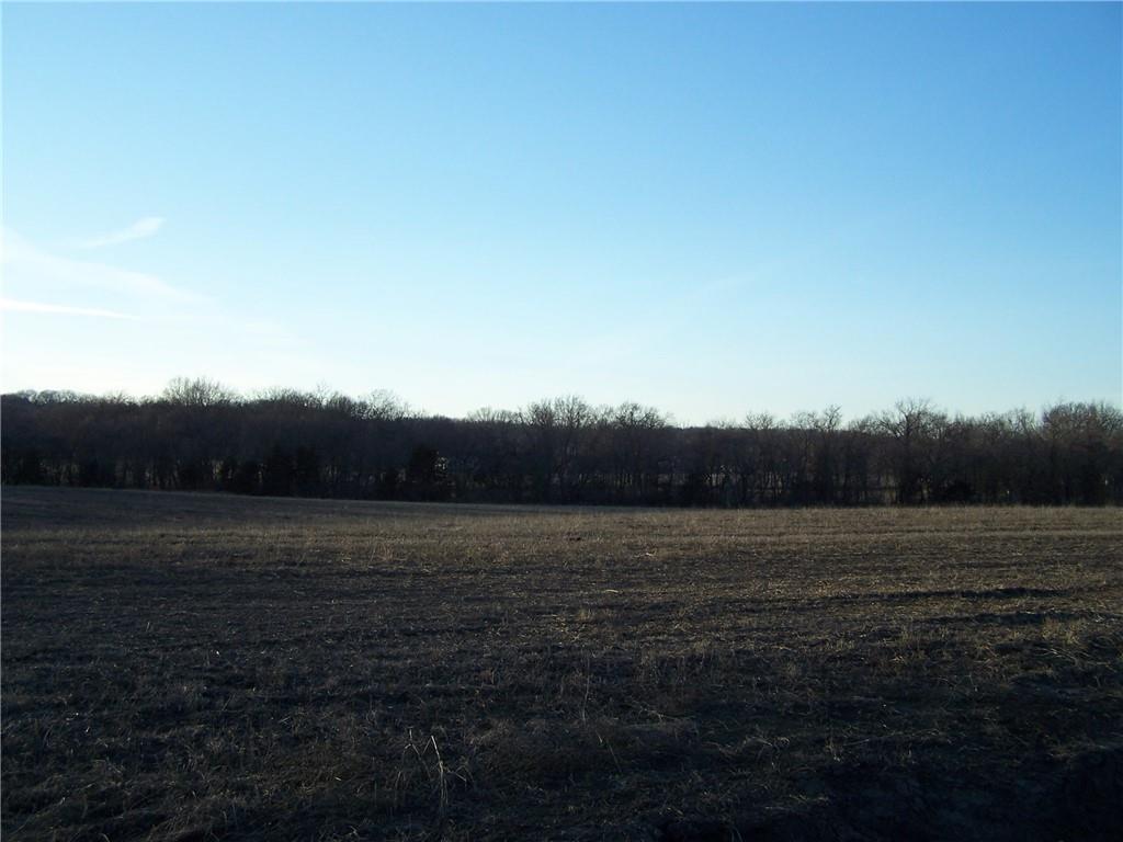 Listing Photo MLS #HMS2597793