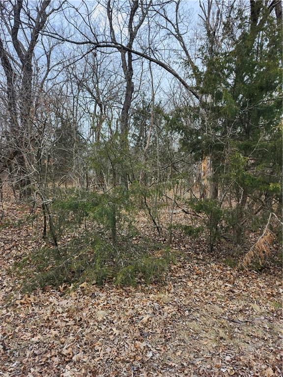 Listing Photo MLS #HMS2597992