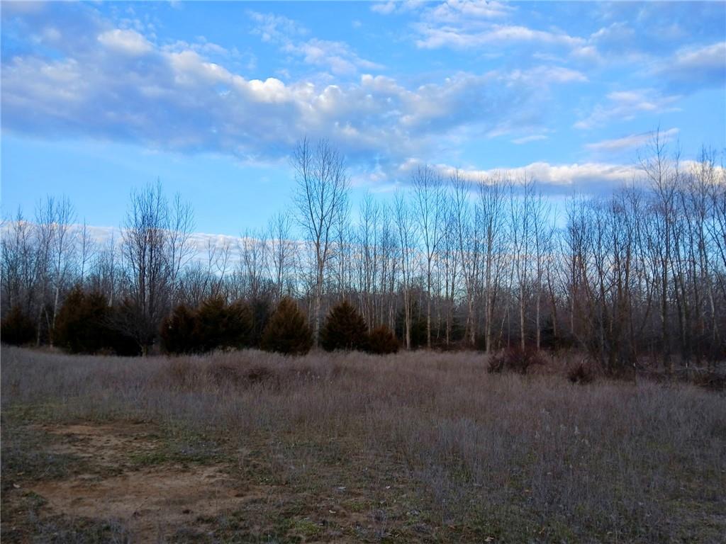 Listing Photo MLS #HMS2598248