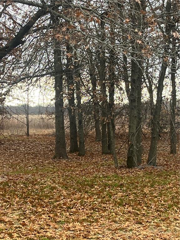 Listing Photo MLS #HMS2599164