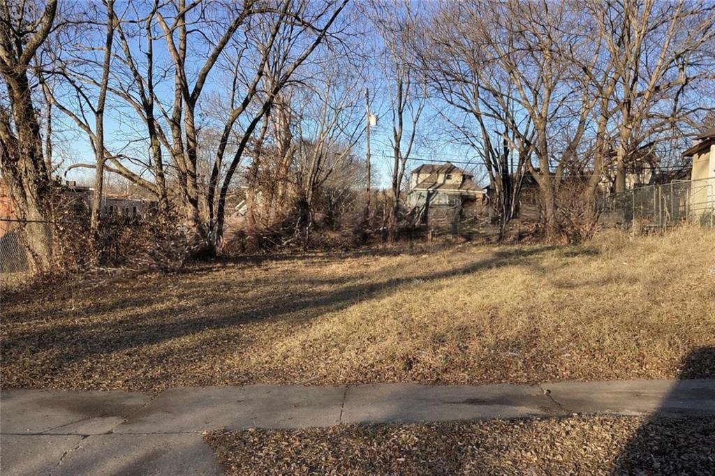 Listing Photo MLS #HMS2600499