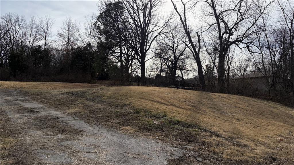 Listing Photo MLS #HMS2602451