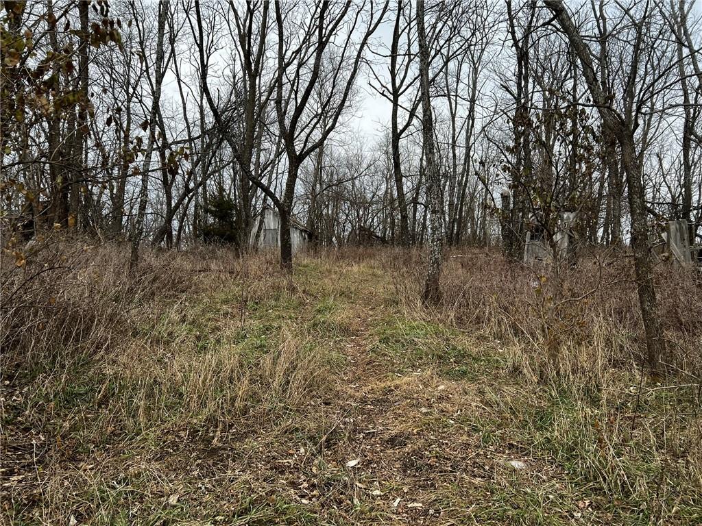 Listing Photo MLS #HMS2602813