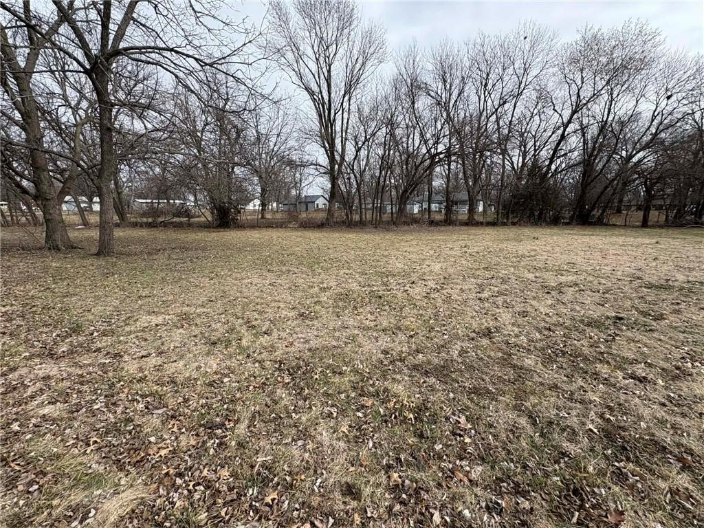 Listing Photo MLS #HMS2603288