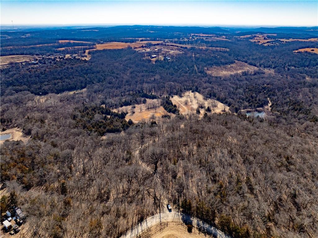 Listing Photo MLS #HMS2603810