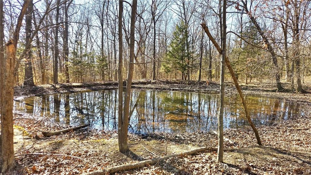 Listing Photo MLS #HMS2604356