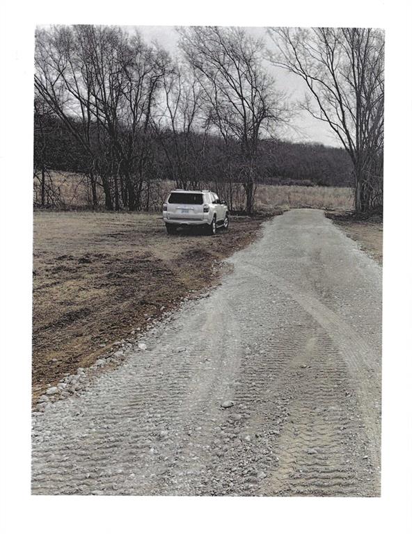 Listing Photo MLS #HMS2605423