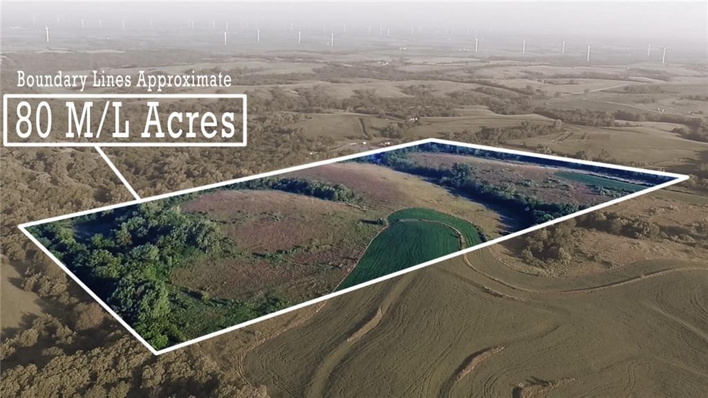 Listing Photo MLS #HMS2606854