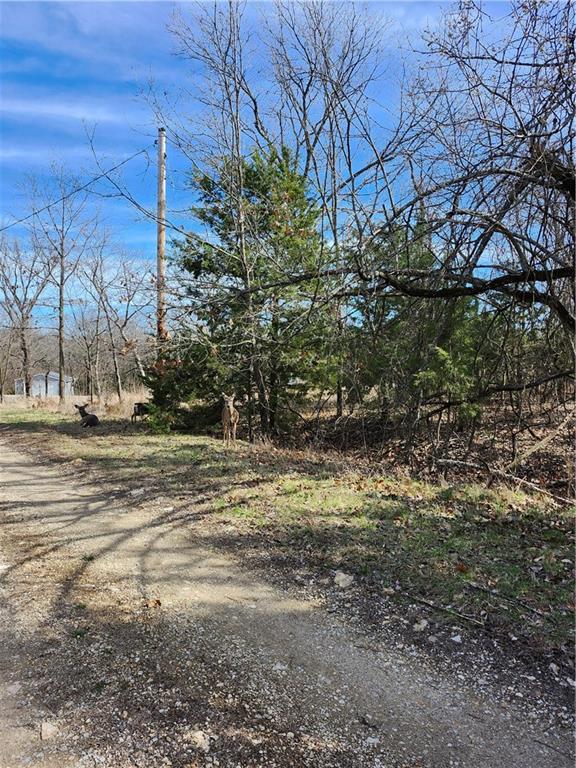 Listing Photo MLS #HMS2607950