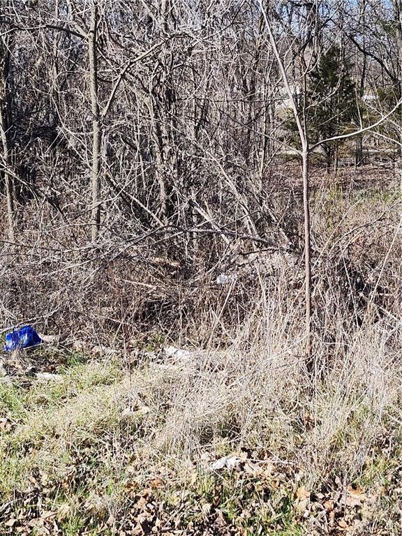 Listing Photo MLS #HMS2608048