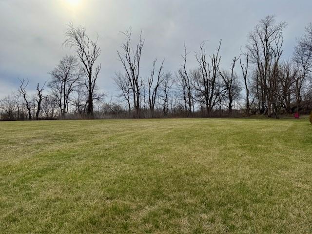 Listing Photo MLS #HMS2608333