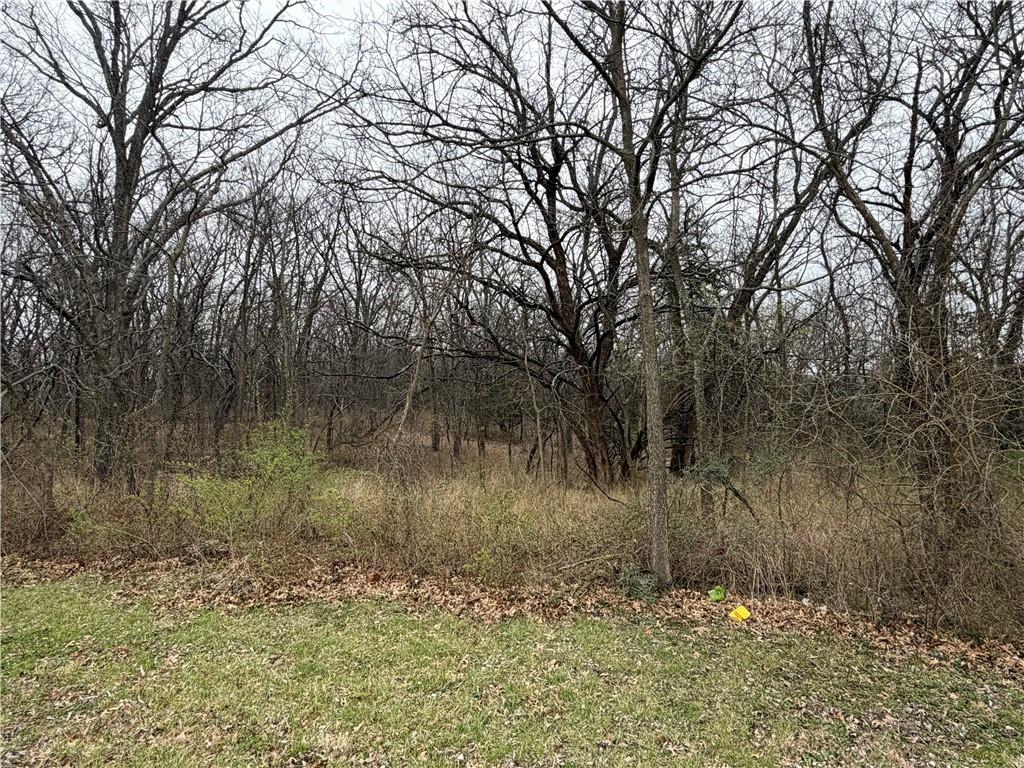 Listing Photo MLS #HMS2609006