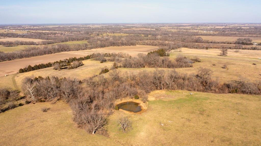 Listing Photo MLS #HMS2610181