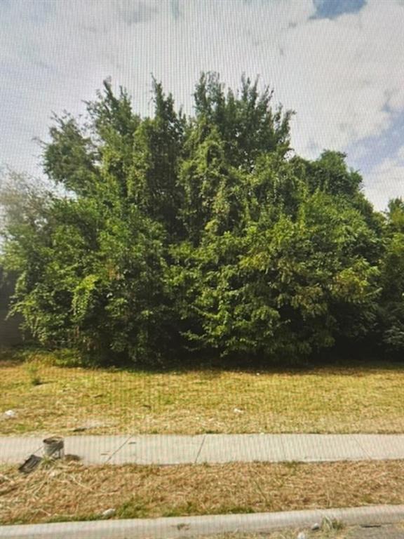 Listing Photo MLS #HMS2610288