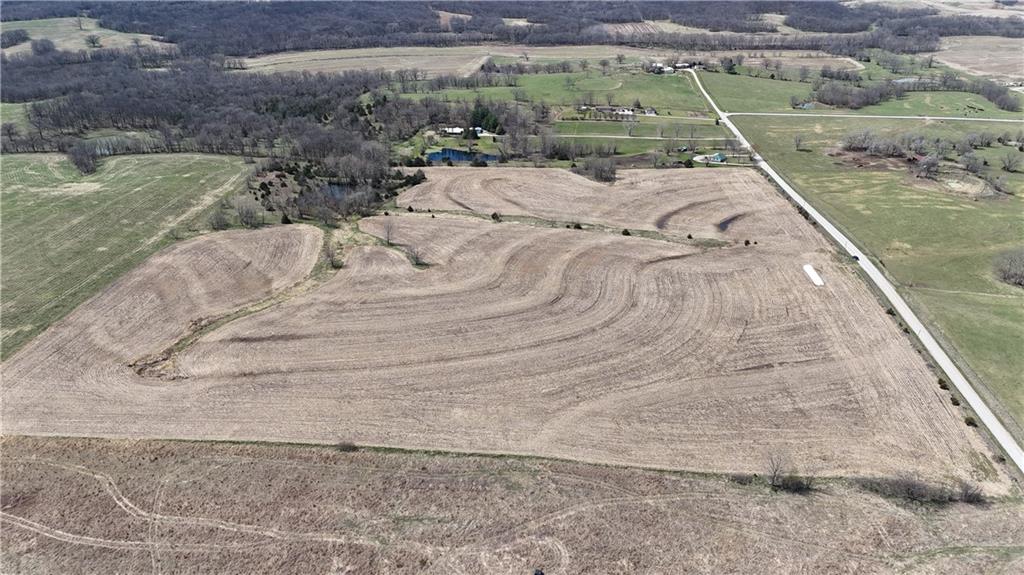 Listing Photo MLS #HMS2612705