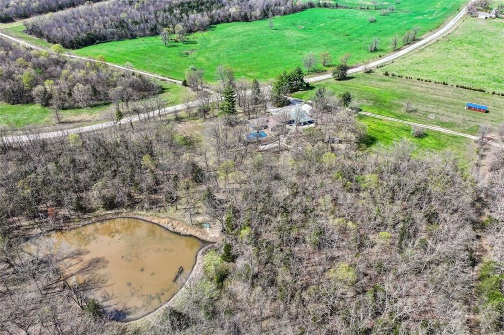 Listing Photo MLS #HMS2613528