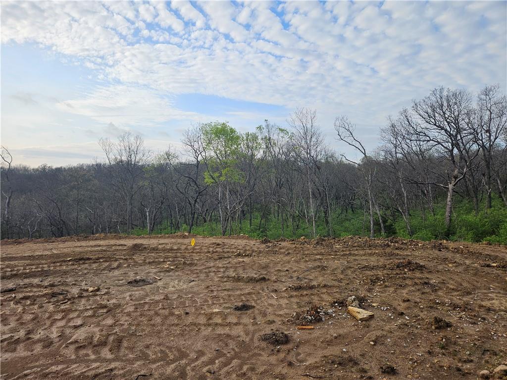 Listing Photo MLS #HMS2613646