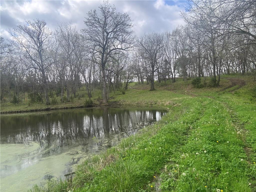 Listing Photo MLS #HMS2614150