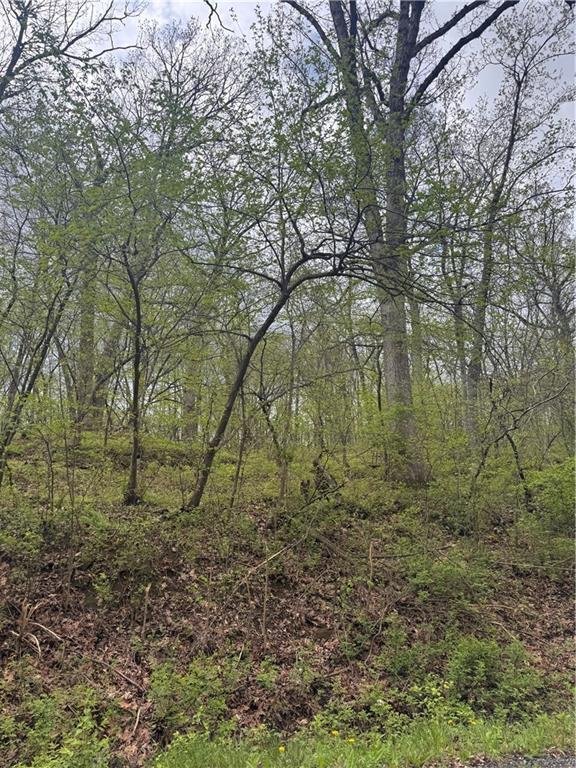 Listing Photo MLS #HMS2614592