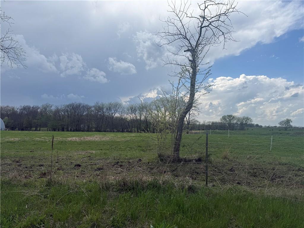 Listing Photo MLS #HMS2614831