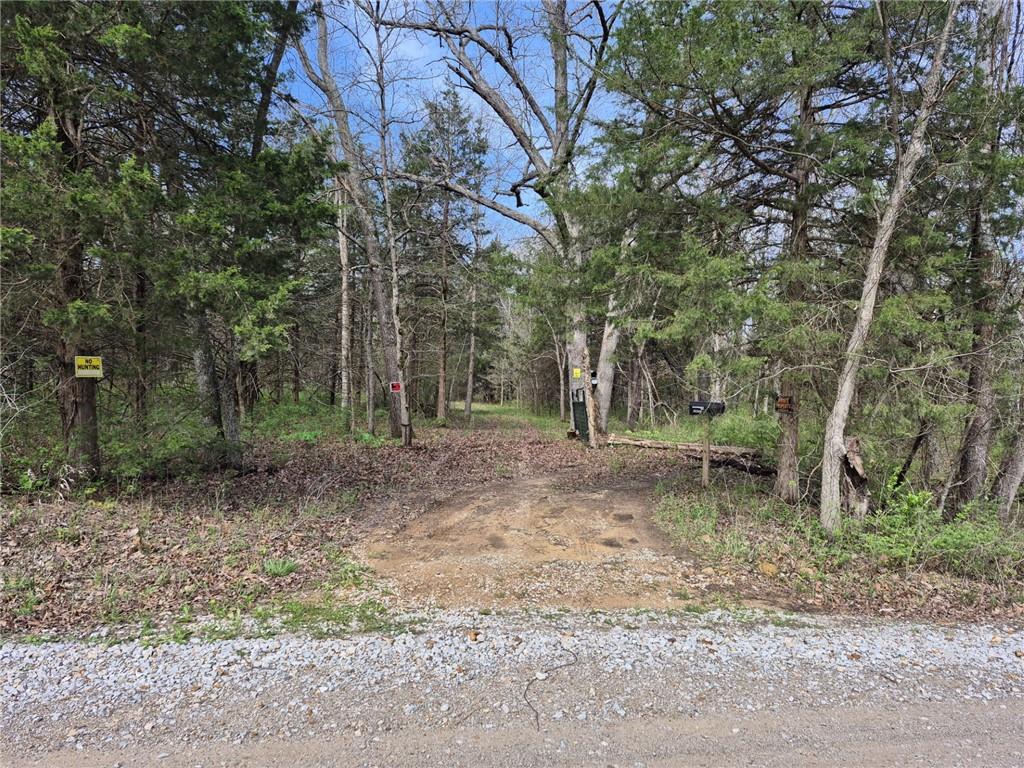 Listing Photo MLS #HMS2615638