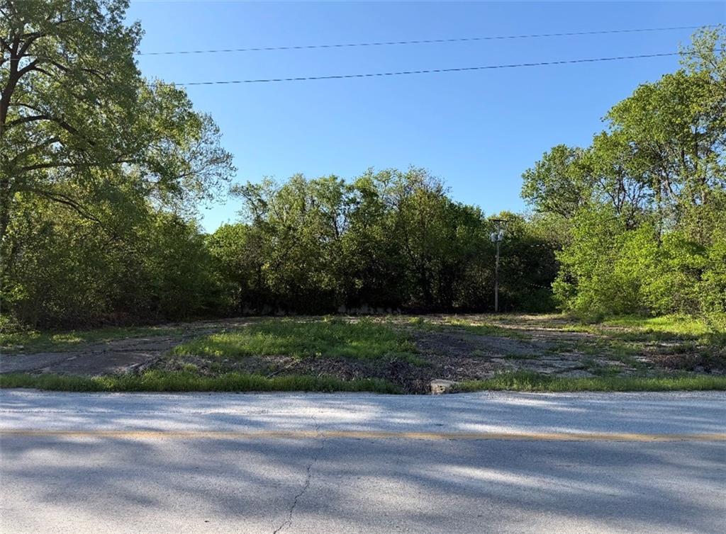 Listing Photo MLS #HMS2615680