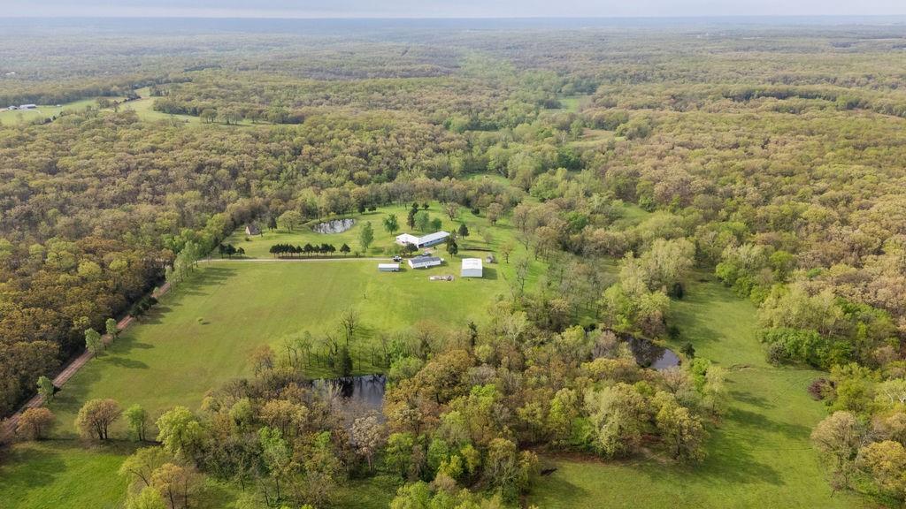 Listing Photo MLS #HMS2616009