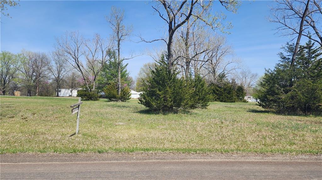 Listing Photo MLS #HMS2616374