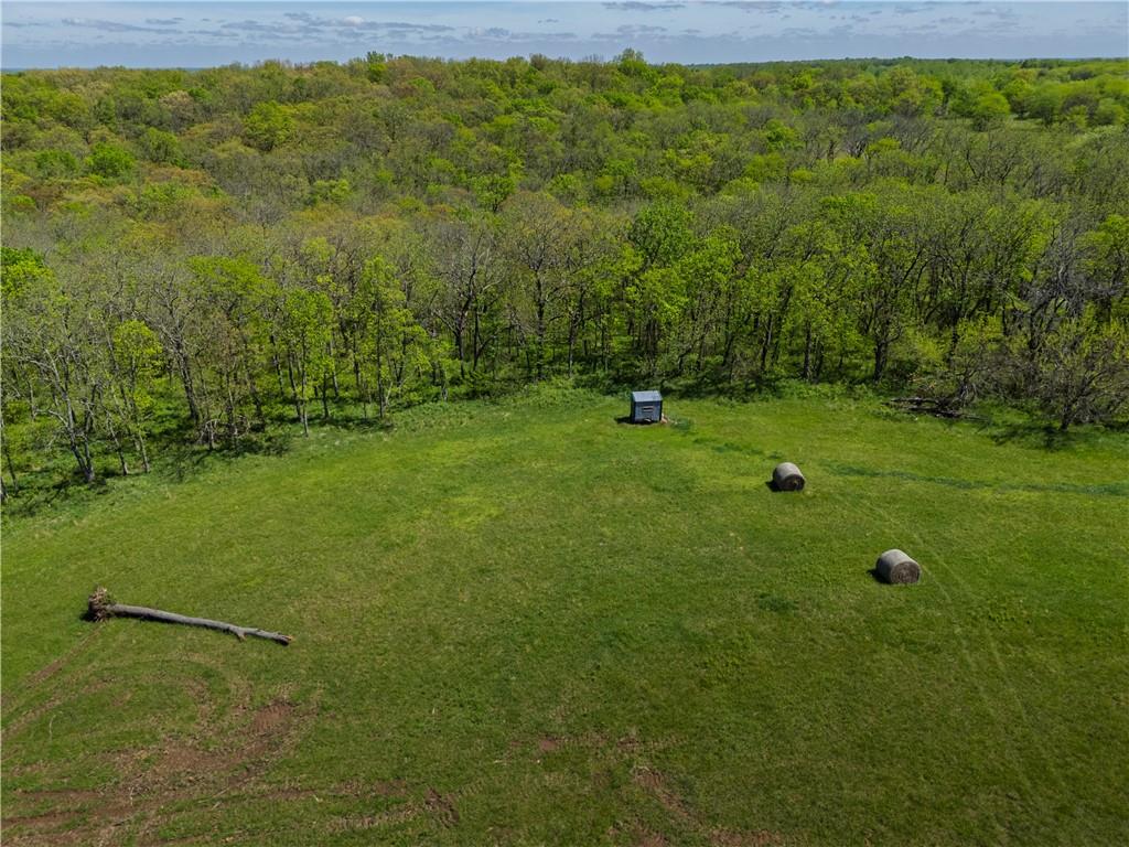 Listing Photo MLS #HMS2616412