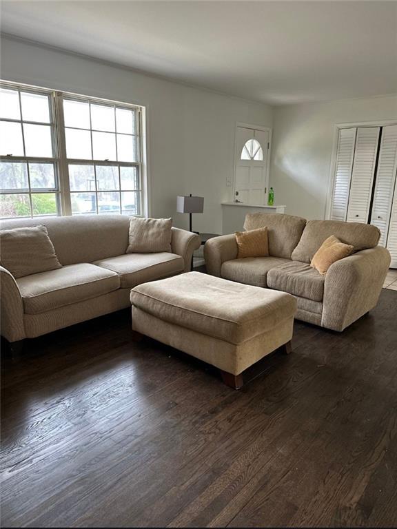 Listing Photo MLS #HMS2616877