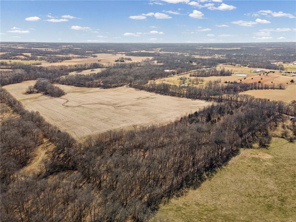 Listing Photo MLS #HMS2617195