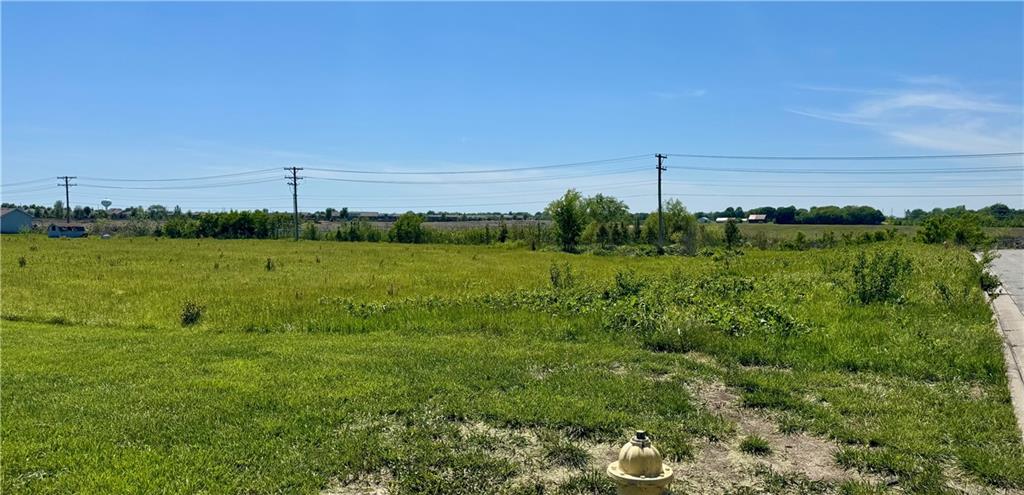 Listing Photo MLS #HMS2618045