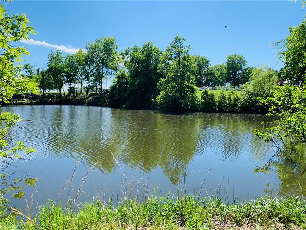 Listing Photo MLS #HMS2618273
