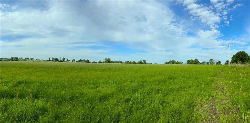 Listing Photo MLS #HMS2618515