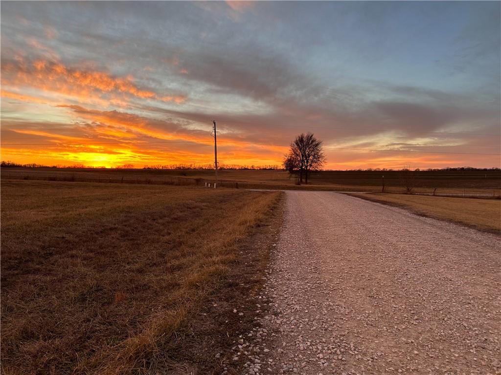Listing Photo MLS #HMS2618872