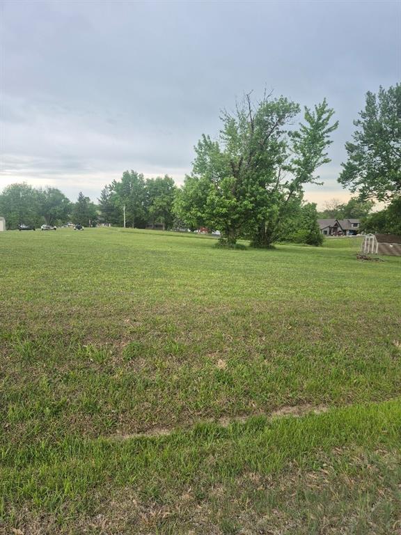 Listing Photo MLS #HMS2619148