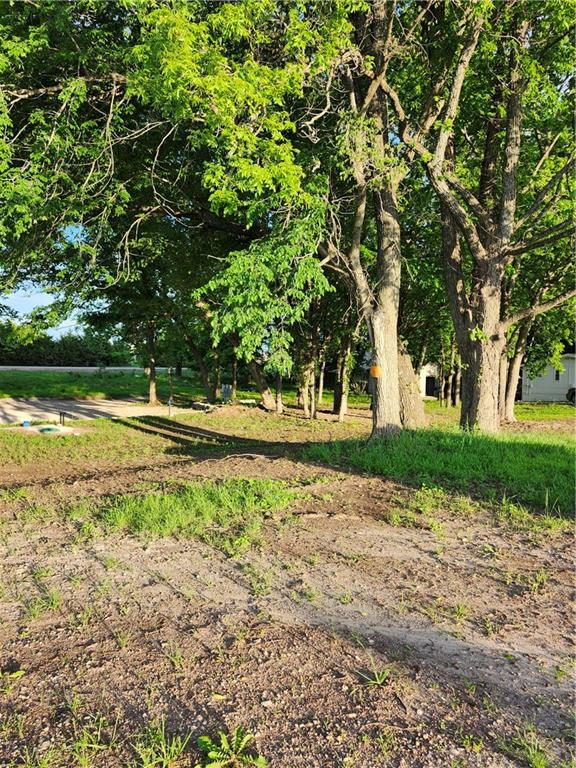 Listing Photo MLS #HMS2619348