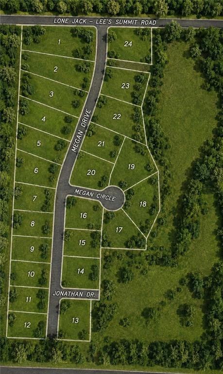 Listing Photo MLS #HMS2621846