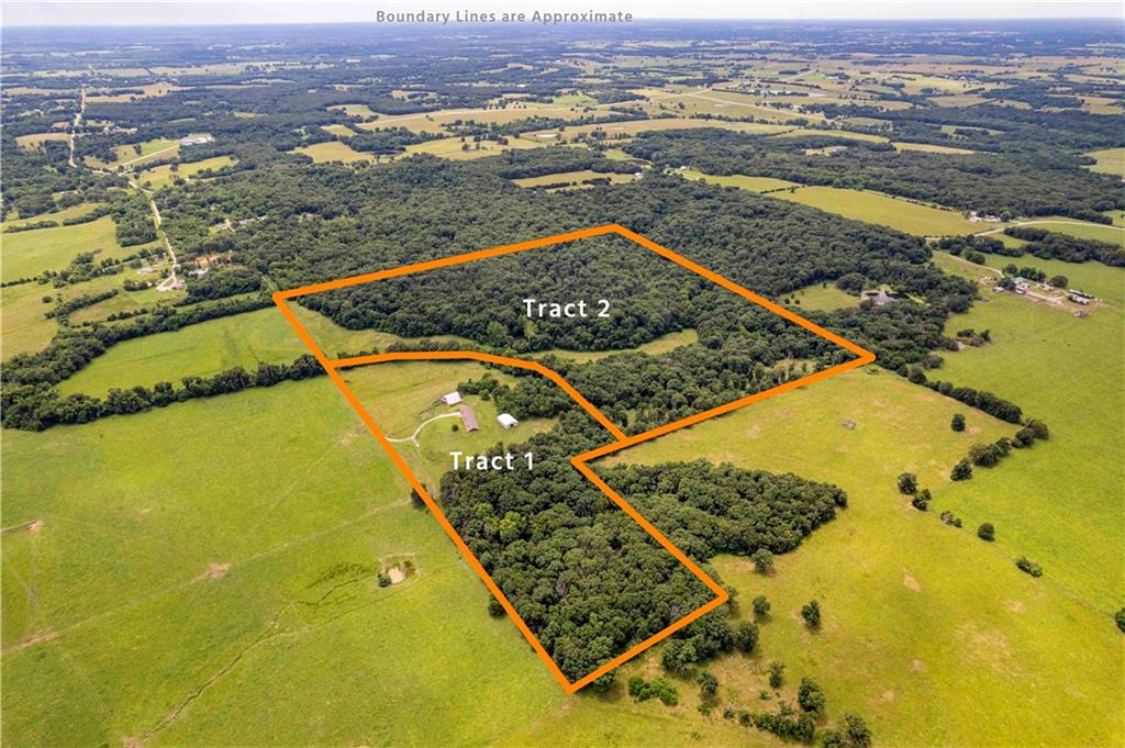 Listing Photo MLS #HMS2627046