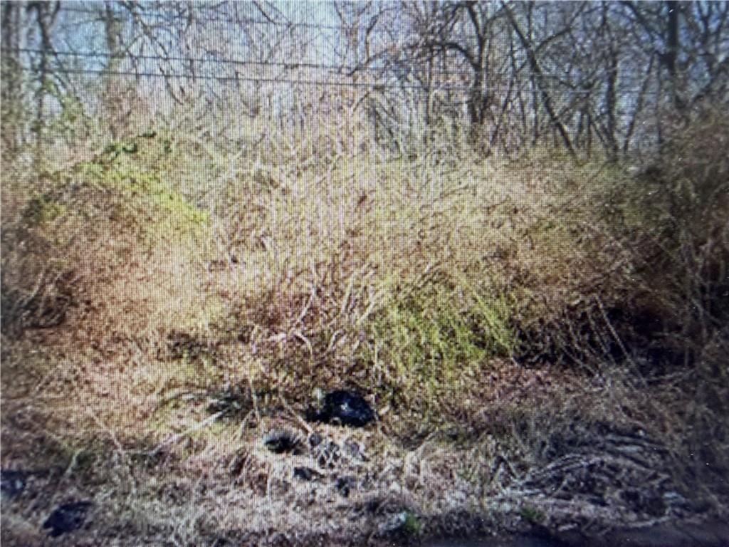 Listing Photo MLS #HMS2627169