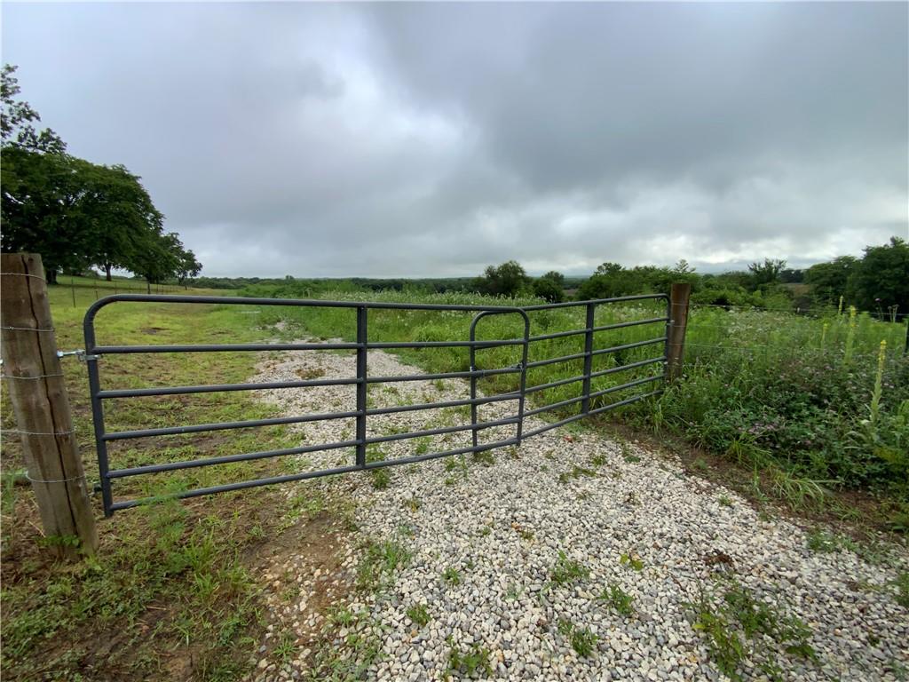 Listing Photo MLS #HMS2628123