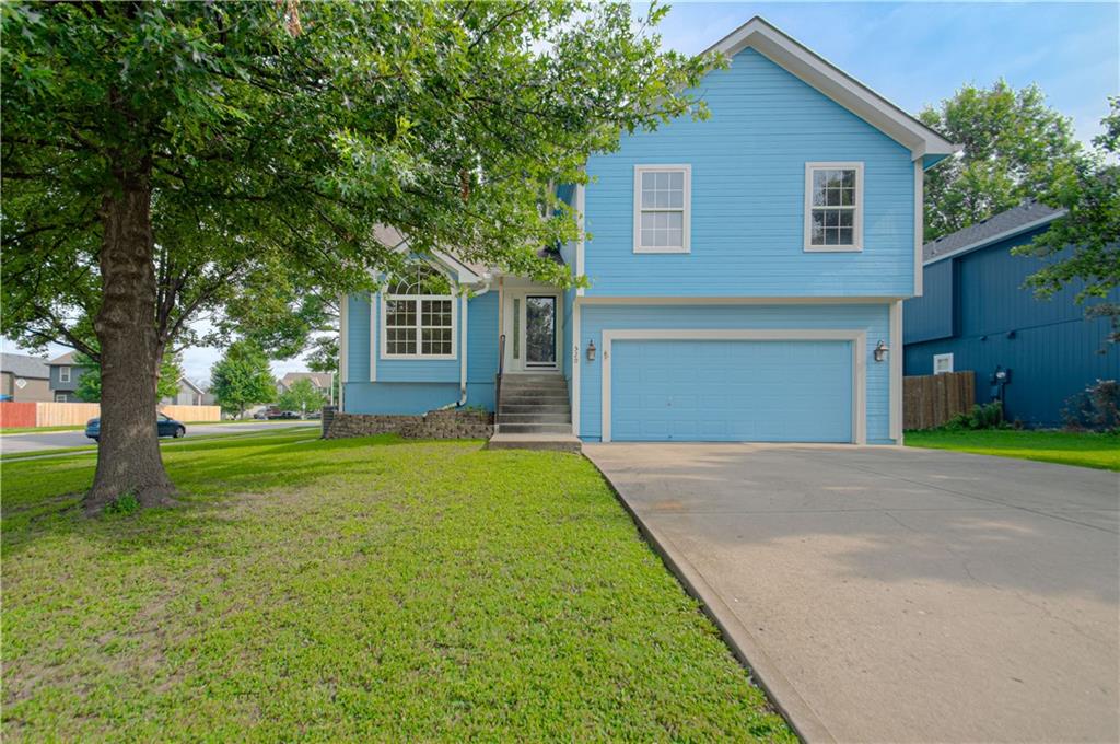 Listing Photo MLS #HMS2628269