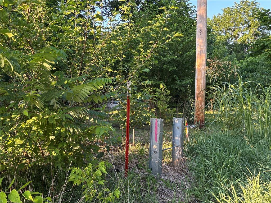 Listing Photo MLS #HMS2628789