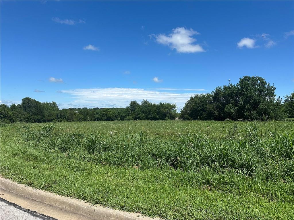 Listing Photo MLS #HMS2629292