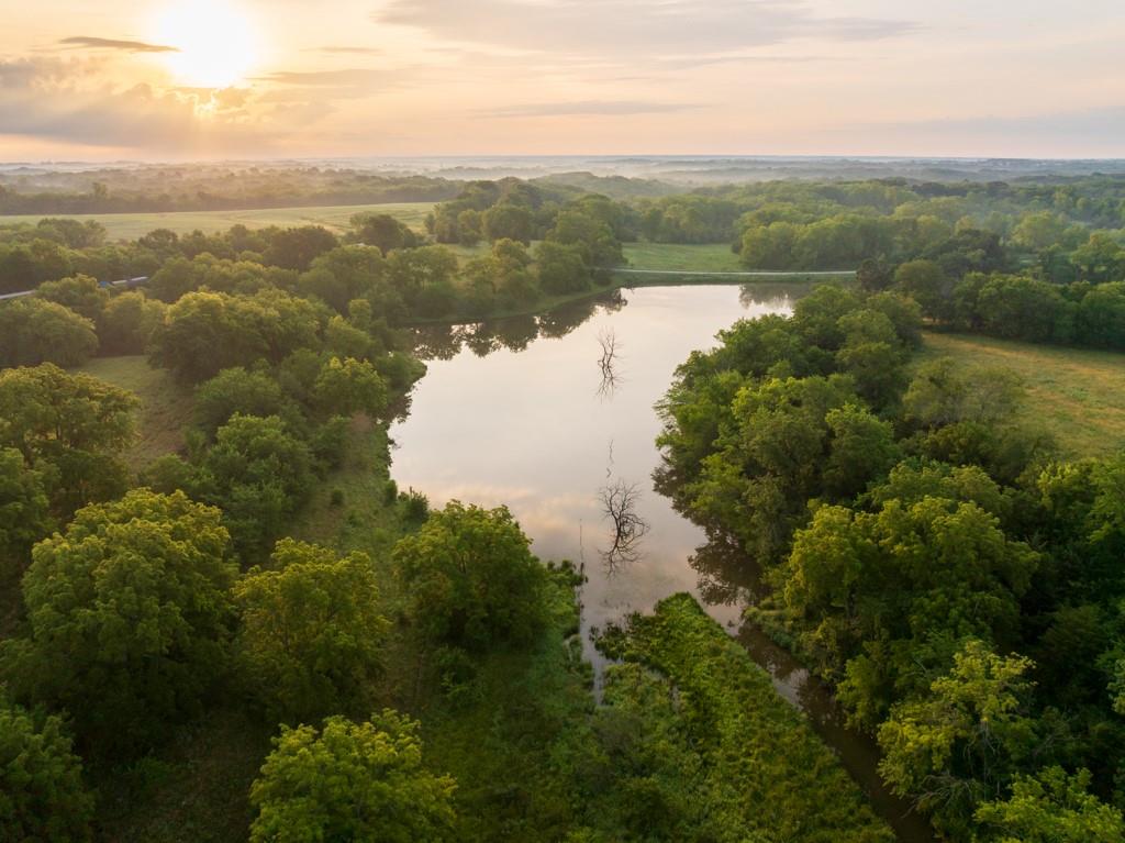 Listing Photo MLS #HMS2629723