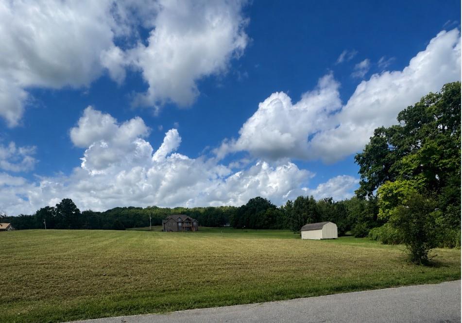 Listing Photo MLS #HMS2631627